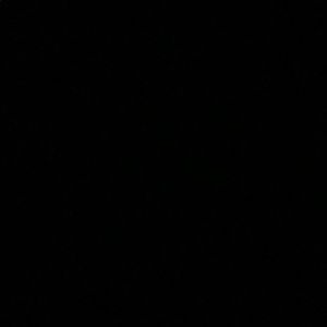 Meet your Posher, Bryce